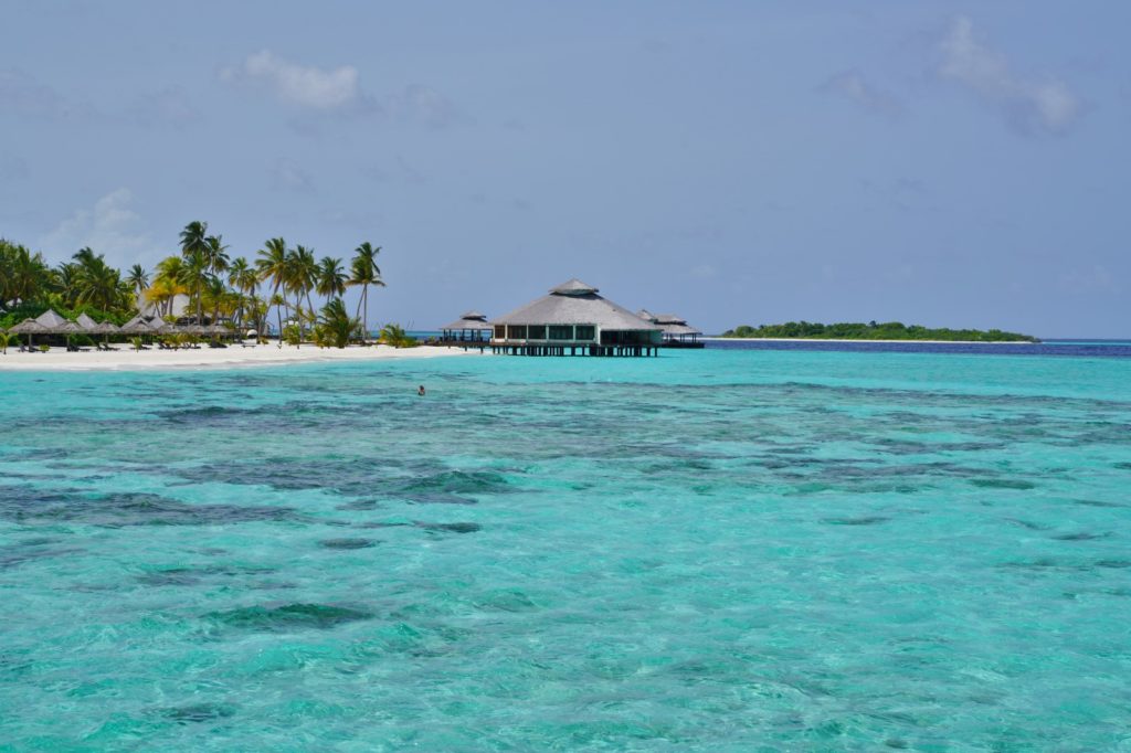 This makes Hanifaru Bay the best manta spot in the Maldives - Maldives ...